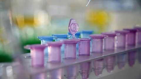 Scientist pipetting a sample into a vial ready for analytical testing in the the Stock Footage 129901929