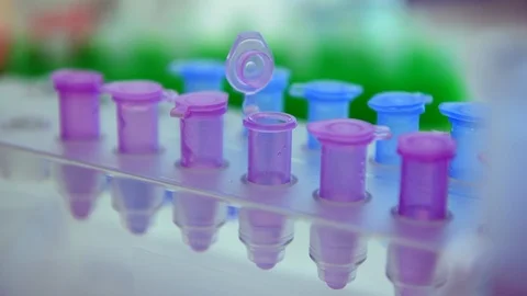 Scientist pipetting a sample into a vial ready for analytical testing in the the Stock Footage 129918670