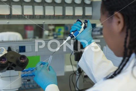 Scientist pipetting solution into the glass test tube Stock Photos