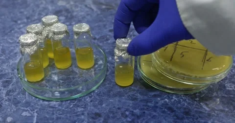 The scientist places the petri dish on the table. Stock Footage 309547861