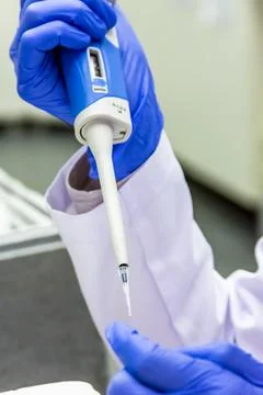 Scientist placing sample in the tube while wearing the protective gloves Stock Photos