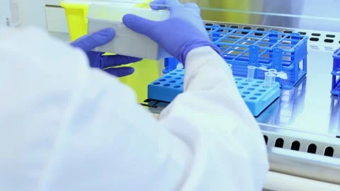 Scientist placing samples in a laminar flow cabinet in laboratory Stock Footage 296884374