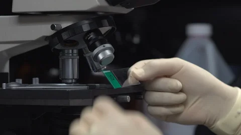 Scientist placing a slide under the microscope Stock Footage 106900478