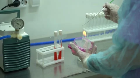 Scientist Placing Test Tubes In Laboratory Ready For Vaccine Testing. Video stock 156242125
