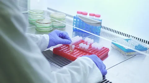 Scientist Placing Test Tubes In Laboratory Ready For Vaccine Testing Stock Footage 159135021
