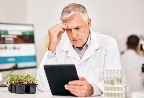Scientist, plants and thinking on tablet for agriculture solution, problem Foto stock