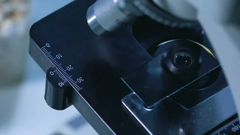 Scientist pointing microscope lens to grain studying genetic structure selection Stock Footage 88523025