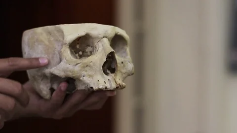 Scientist Pointing at Zygomatic Bone on Ancient Human Skull - Close Up Stock Footage 86477358