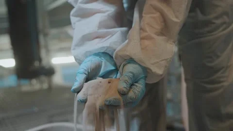 Scientist pouring sand Stock Footage 300713541