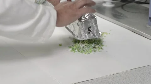 Scientist pouring shredded plastic pellets from a container in a laboratory Stock Footage 332649680