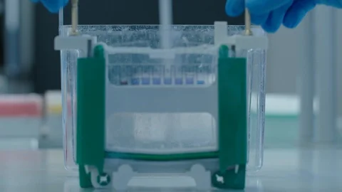Scientist pouring translucent liquids in a plastic container Stock Footage 104247395