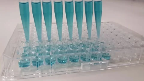 Scientist prepares a micro titer plate for further biological analysis closeup Stock Footage 140986849