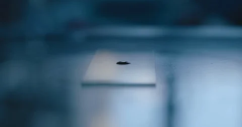 Scientist preparing a liquid sample on a glass plate for a microscope. Stock Footage 121167009