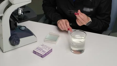 Scientist Preparing Microscope Slide for Analysis Stock Footage 302888908