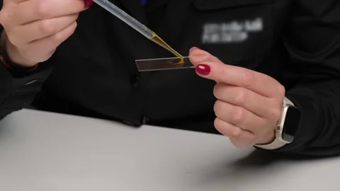 Scientist Preparing Microscope Slide, Labaratory Stock Footage 302889166