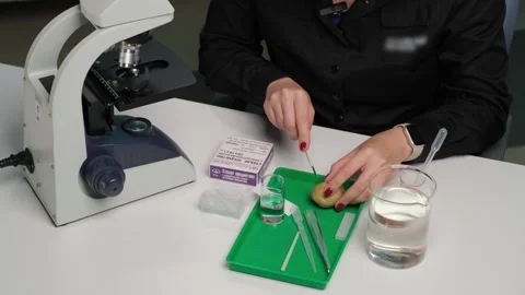 Scientist Preparing Sample for Microscope Analysis Stock Footage 302888922