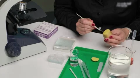Scientist Preparing Sample for Microscope Stock Footage 303370265