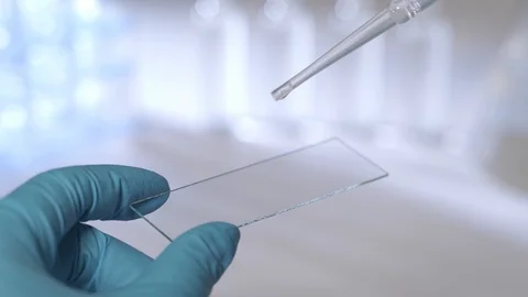 A scientist is preparing a sample for microscopy. Dripping liquid on a glass Video stock 122360841