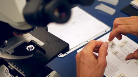 A scientist preparing a slide of his own cancer cells from a medical Stock Footage 100997053