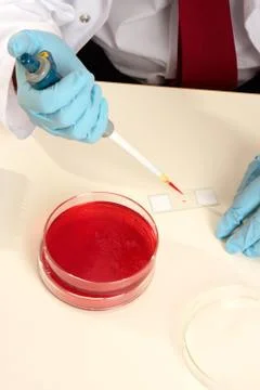 Scientist preparing a slide Stock Photos