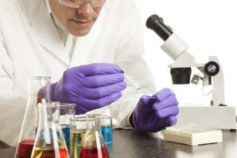 Scientist Preparing Slide Stock Photos