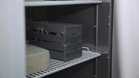 The scientist pulls out a specimen container of sprouts Stock Footage 74927071