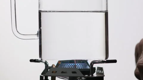 Scientist is pursuing  Experience. Laboratory Analysis and Disease Test. Video stock 144452541