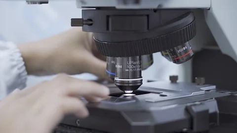 Scientist put microscope slide extra close up Laboratory 50fps Video stock 247403768