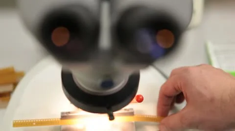Scientist puts test sample under microscope Video stock 10790751