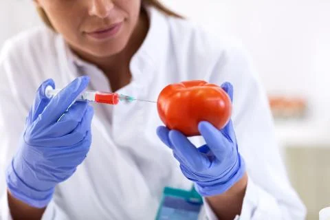 Scientist putting new sample to vegetables and cheking results Foto stock