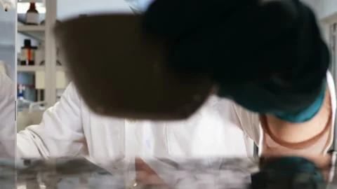 Scientist putting a sample into a laboratory stove. Selective focus. Stock Footage 202296430