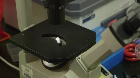 Scientist putting sample under microscope in laboratory Stock Footage 93529517