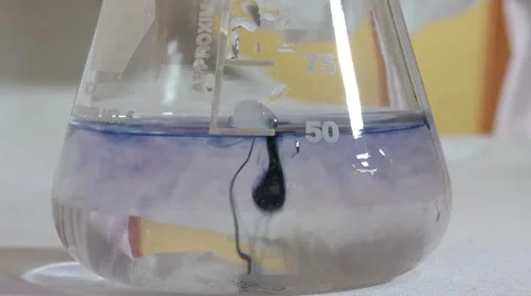 A scientist putting some chemicals into an Erlenmeyer flask and mixes it Stock Footage 53539883