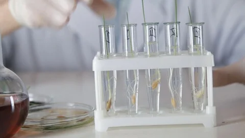 A scientist rearranges the tubes in the stand Vidéo 73111187