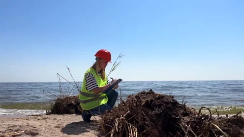 Scientist records data on clipboard while kneeling on sandy beach near ocean Vídeo Stock 336704101