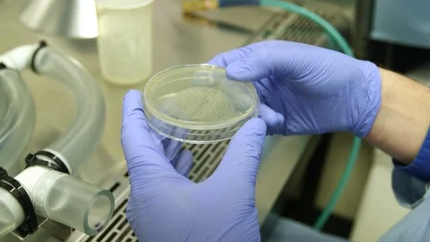 Scientist removing and placing back a lid on petri dish Stock-Footage 93518681