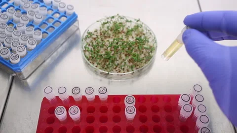 Scientist removing medicine Stock Footage 339322046