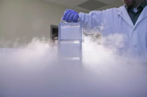 Scientist removing tissue samples from a storage tank of liquid nitrogen Stock Photos