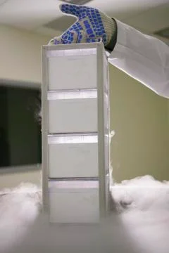 Scientist removing tissue samples from a storage tank of liquid nitrogen Stock Photos