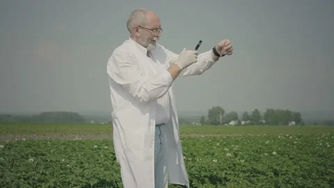 Scientist researching pests Stock Footage 136237710
