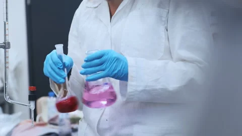 Scientist in rubber gloves and lab coat mixing pink liquids in the glass flasks Stock Footage 170058571