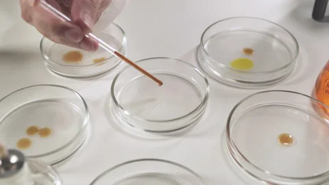 Scientist in Scientific Laboratory Works with Bacteria and Virus Samples. Stock Footage
