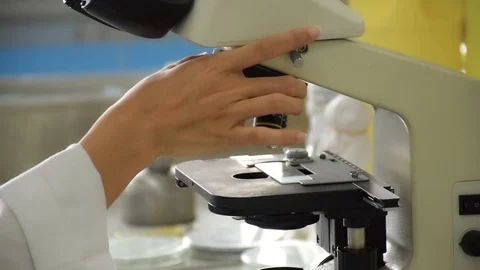 Scientist setting microscope and lens eye piece for microbiology test in lab Stock Footage 87446849