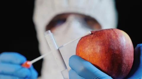 The scientist shoots a sample in the big apple. Food quality study Stock Photos