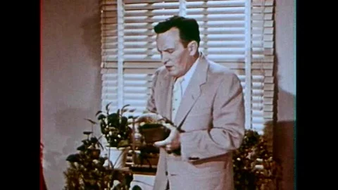 A scientist shows us how venus fly traps operate, 1950s Stockbeeldmateriaal 102502816