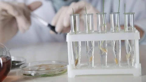 The scientist signed the tubes with a marker 스톡 동영상 73111092