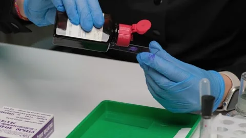 Scientist Staining Microscope Slide for Laboratory Analysis Stock Footage 303369492