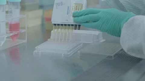 A scientist in a sterile laboratory environment. Stock Footage 316384334