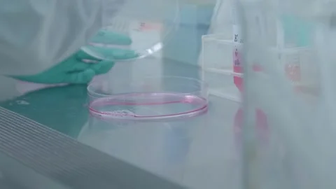 A scientist in a sterile laboratory environment. Stock Footage 316384337
