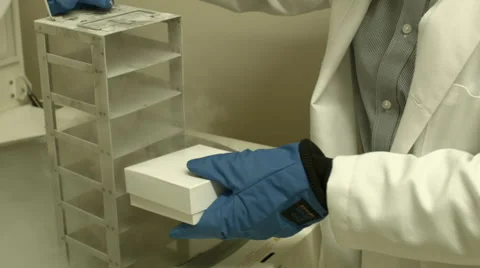 Scientist storing a small sample box into a freezer Stock Footage 61210491